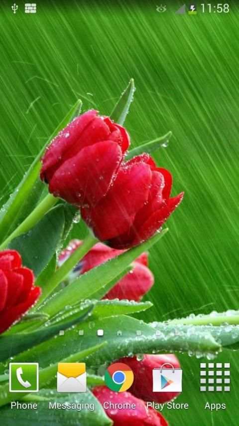 Rain Rose Live Wallpaper screenshot 2