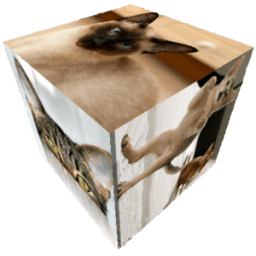 Slideshow Cube Wallpaper Lite icon