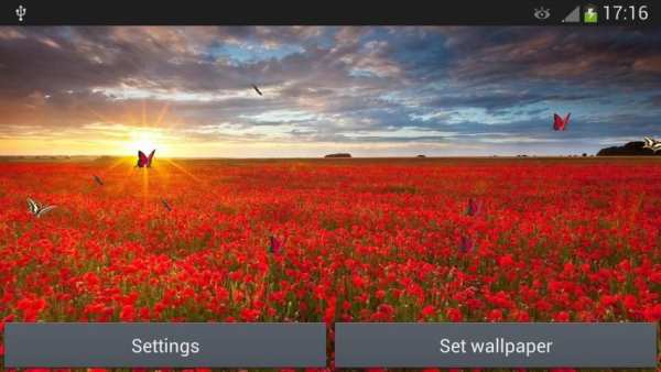 Sea Of Flowers screenshot 4