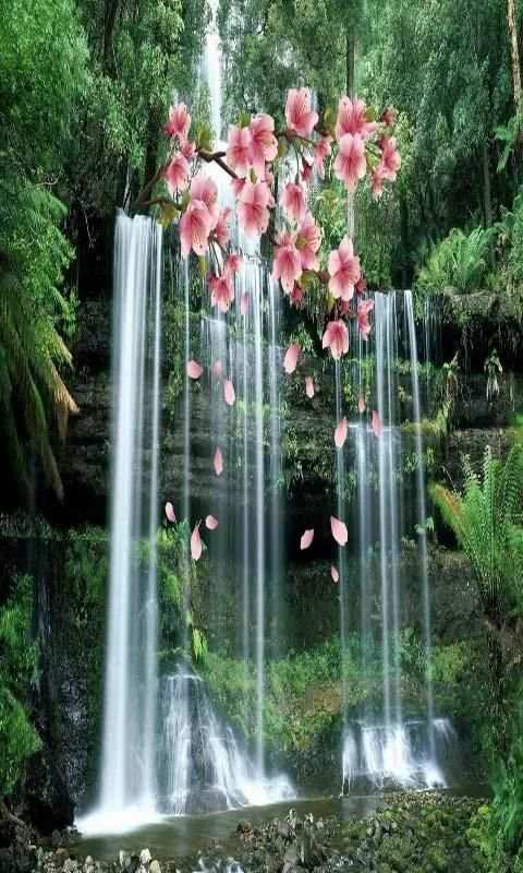 3D Waterfall Spring Branch скриншот 3