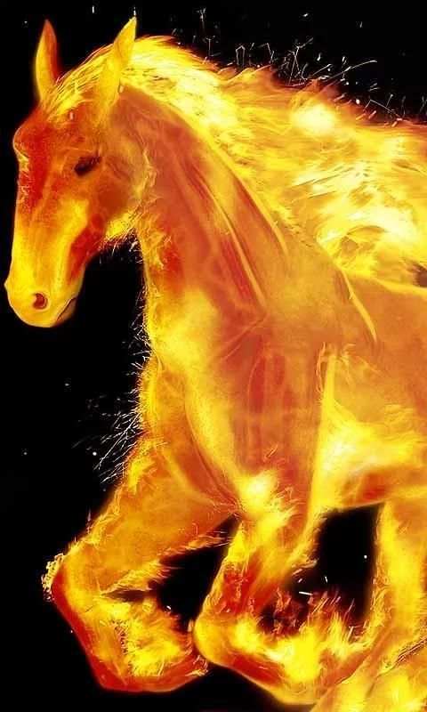 Fire Wallpapers 2 تصوير الشاشة