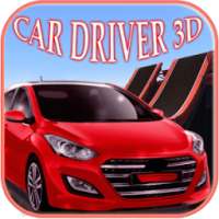 Platform Car Driver Craze 3D