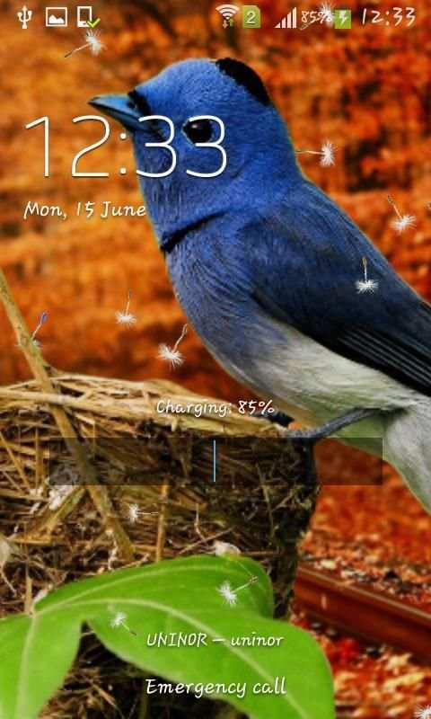 3D Birds Live Wallpaper for S5 screenshot 7