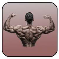 GYM دليل تمرين لياقة on 9Apps