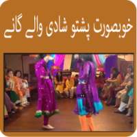 Pashto Wedding Song Videos on 9Apps