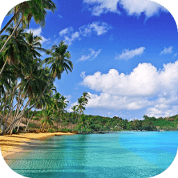 Beach Wallpapers أيقونة