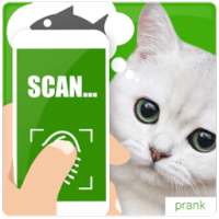 What cat want scanner joke on 9Apps