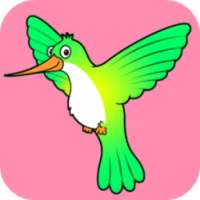 Bird Match Games For Kids logo
