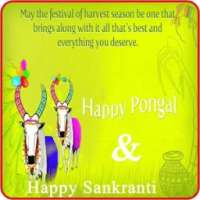 Pongal Sankranti Greeting 2016 on 9Apps