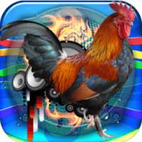 Rooster Sound Free on 9Apps