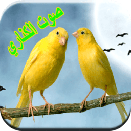أصوات طائرالكناري icon