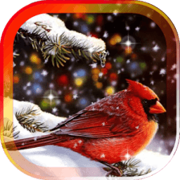 Cнег Птицы Песни HD LWP иконка