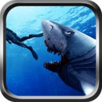 Shark Revenge Megalodon