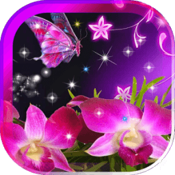 Красивые Орхидеи LWP иконка