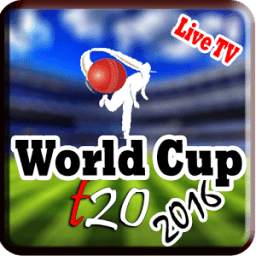 t20 World Cup Fixture & Info