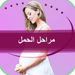 مراحل الحمل واعراض الحمل