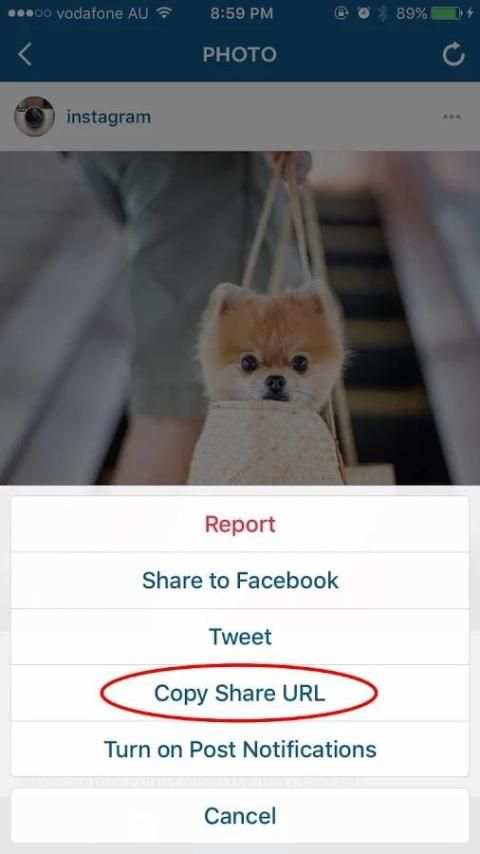 Video Saver for Instagram screenshot 2