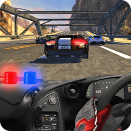 Police Car Chase Smash 3D icon