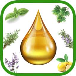 Les huiles essentielles 1.0