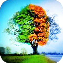 ikon Nature Live Wallpaper
