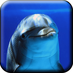 Dolphins Live Wallpaper icon