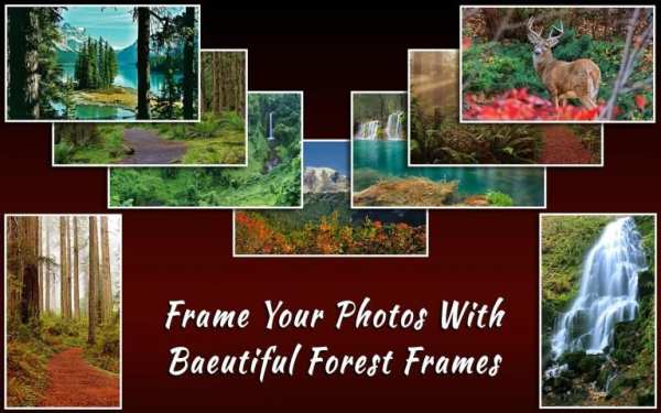 Forest Frames for Photos screenshot 4