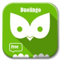 Duolingo Learning Languages