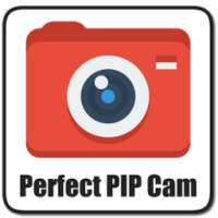 Perfect PIP Cam