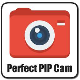 Perfect PIP Cam 1.0