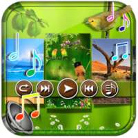 Nature Sounds to Relax Pro on 9Apps