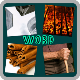 4 Pics 1 Word icon