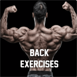 Back Exercises आइकन