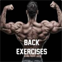 Back Exercises