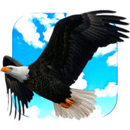 ikon Flying Eagle Live Wallpaper