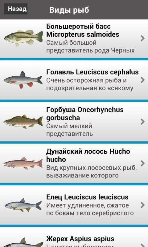 Рыбалка Lite screenshot 4