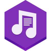 Music Player With Lyrics Guide