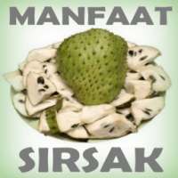 Manfaat dan Khasiat Sirsak