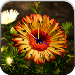 Flowers Clock Live Wallpaper आइकन