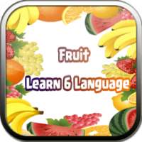 Learn Vocabulary Fruits