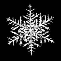 ikon WinterWatch