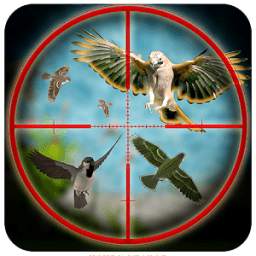 Desert Birds Hunting Sniper 3d 1.0