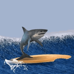 ikon Shark Surfer Wall Clock