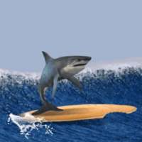 Shark Surfer Wall Clock