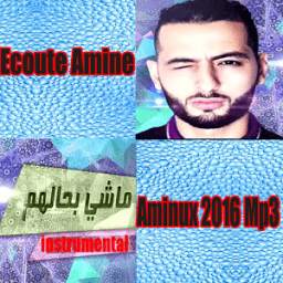 Amine Aminux 2016 1