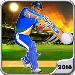 Play Cricket Worldcup 2016