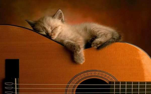Curso de Guitarra screenshot 2