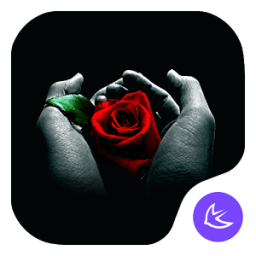 Rose in my eyes theme for APUS أيقونة