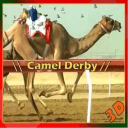 Camel Racing Championship 1.0
