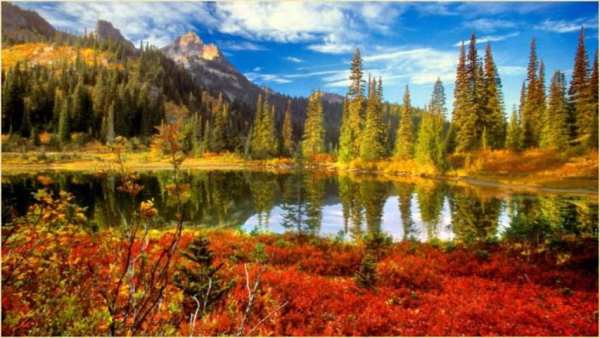 Nature Wallpapers screenshot 4
