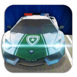 Crazy Real Police Race Driver icon